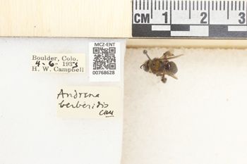 Media type: image;   Entomology 768628 Aspect: Labels